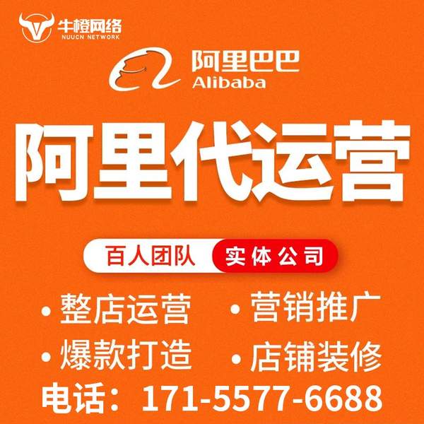 娄底电商代运营