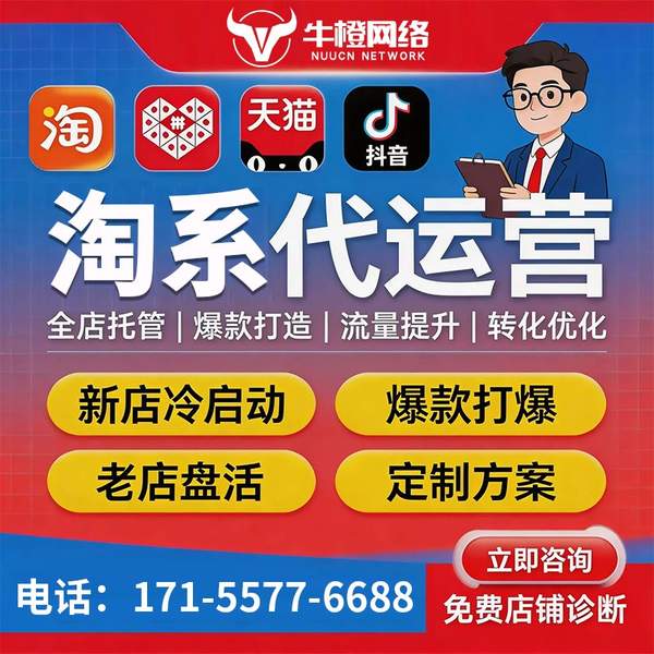 娄底电商代运营