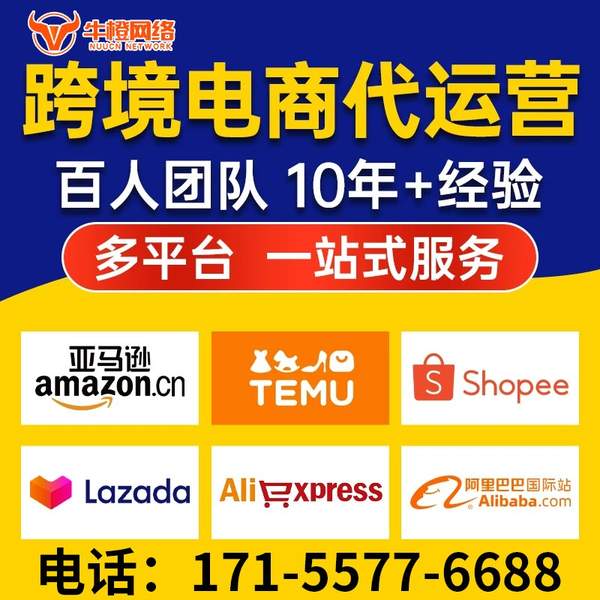 娄底电商代运营