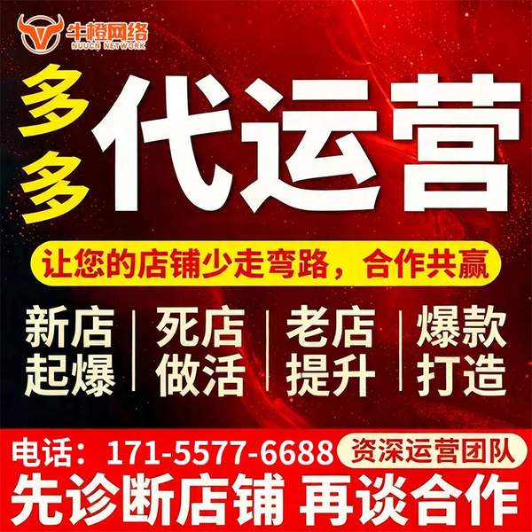 娄底电商代运营
