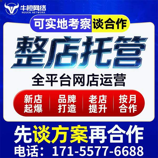 娄底电商代运营
