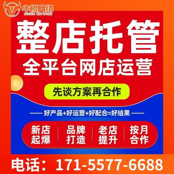 娄底电商代运营