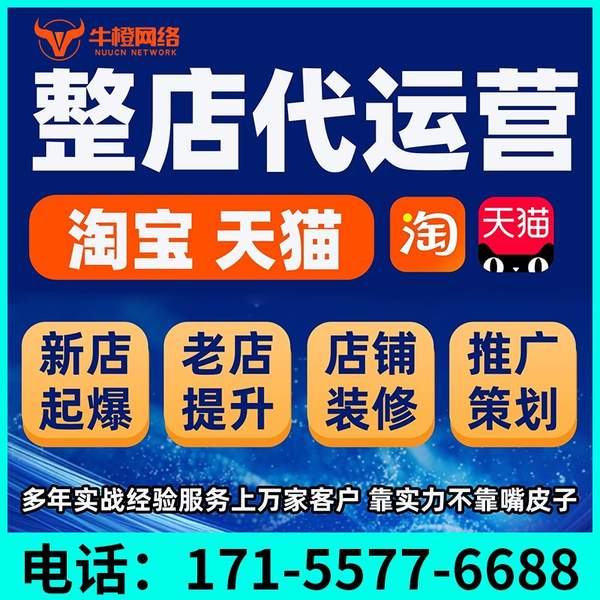娄底电商代运营