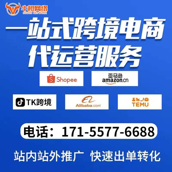 娄底电商代运营