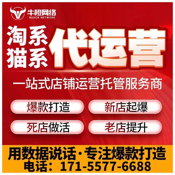 娄底电商代运营